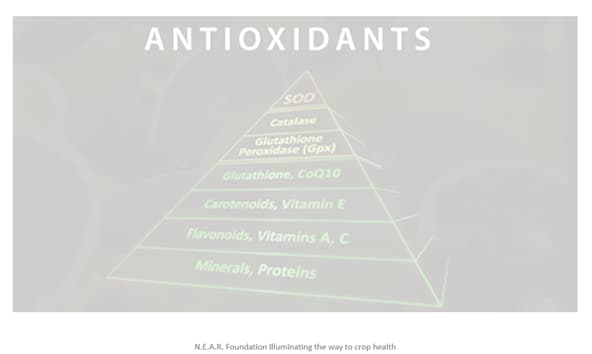 antioxidantes