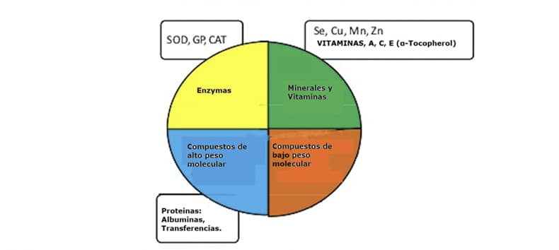 antioxidantes