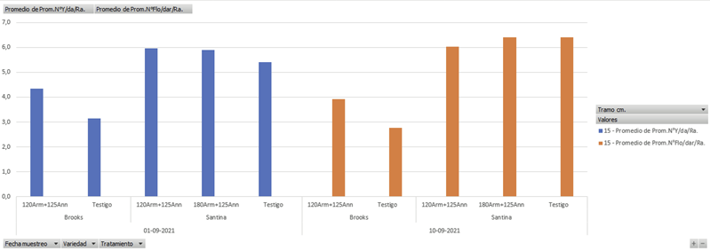 agronomic - ensayo - brooks - santina - may glo - cerezos - nectarinos - estrés - armonigro - anngro - producción - rendimiento